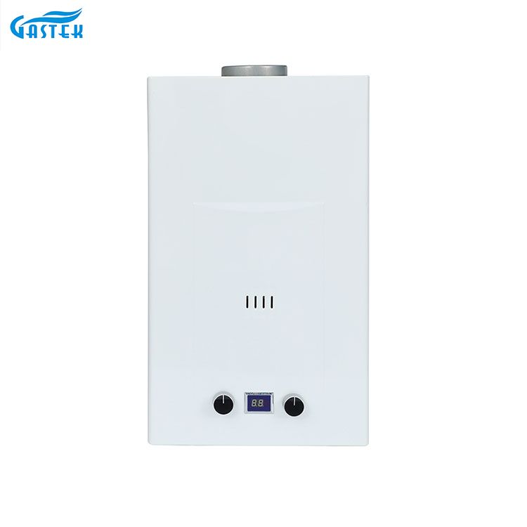 Flue Type 6L 8L 10L 12L 16L 18L 20L Tankless Instant LPG Gey Geyser untuk mandi